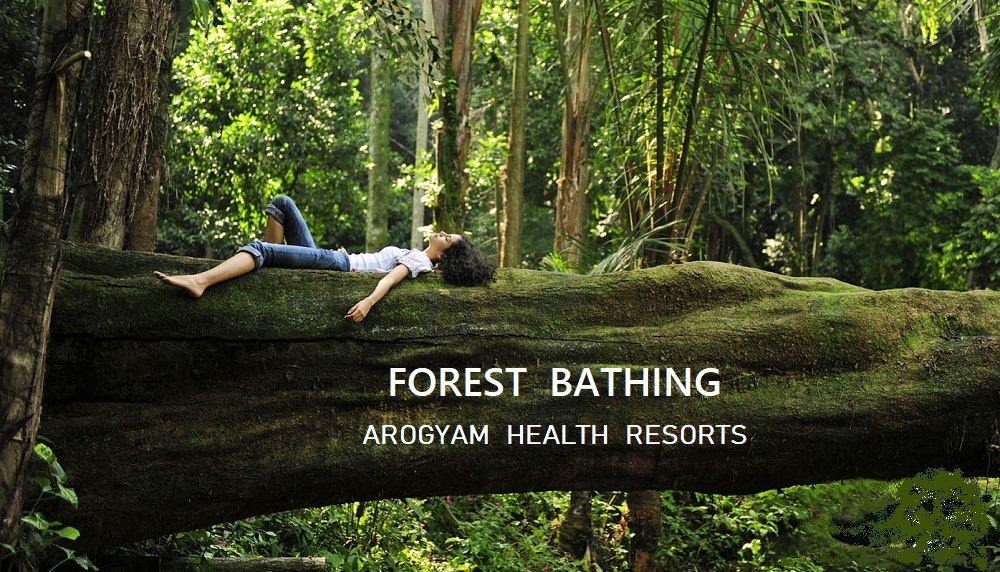 Forest bath India